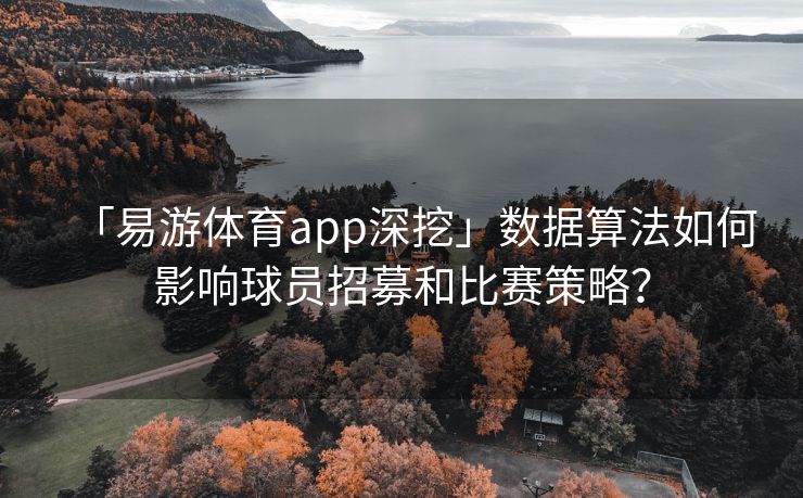 「易游体育app深挖」数据算法如何影响球员招募和比赛策略？  第2张